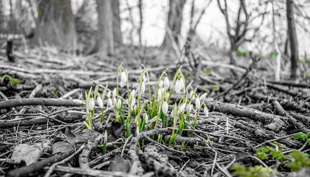 Thumbnail for 34071 Thumbnail for 34071