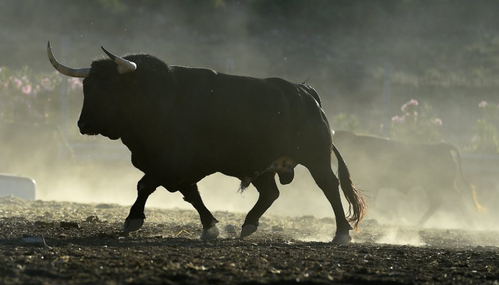 Thumbnail for 41481 Thumbnail for 41481